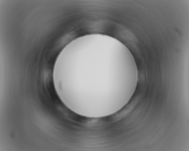 X0000114230382200910231508