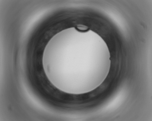 X0000114230383200910231508