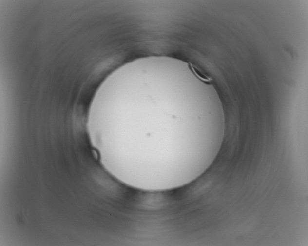 X0000114230384200910231509