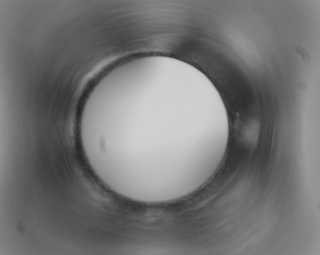 X0000114230388200910231508