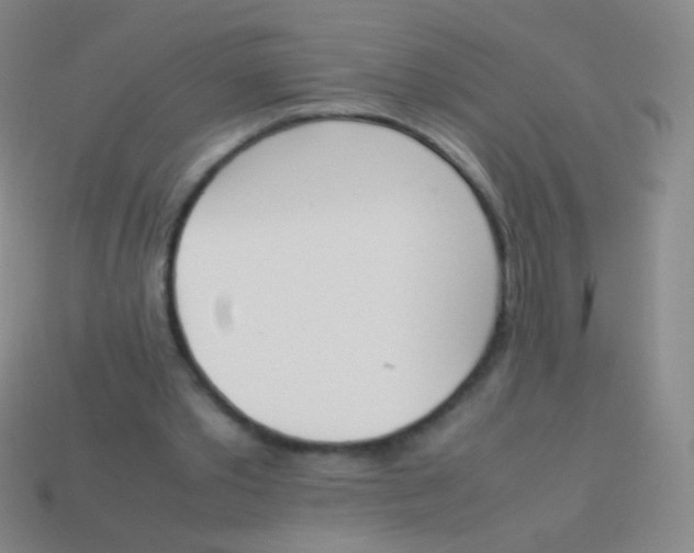 X0000114230389200910231508