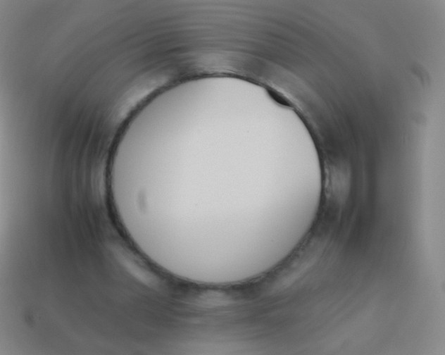 X0000114230390200910231508