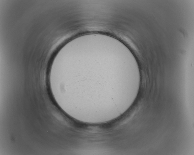 X0000114230391200910231508