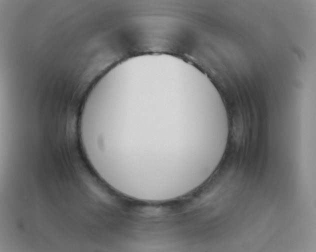 X0000114230394200910231508