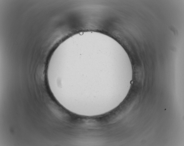 X0000114230395200910231508