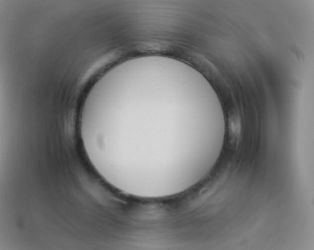 X0000114230396200910231508