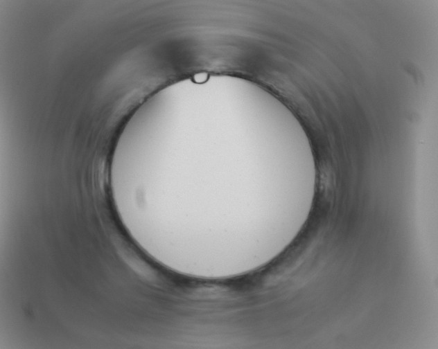 X0000114230397200910231508