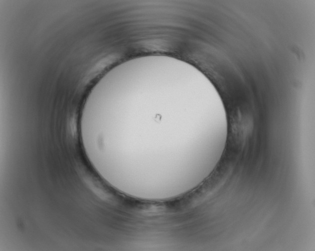 X0000114230398200910231508