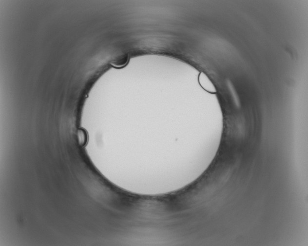 X0000114230399200910231508