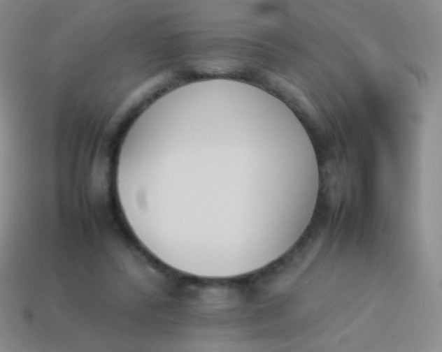 X0000114230400200910231508