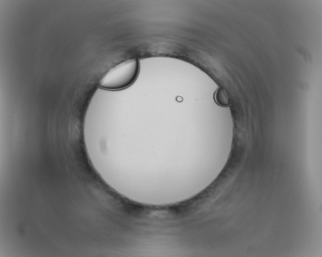 X0000114230401200910231508
