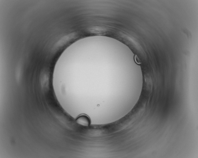 X0000114230404200910231508