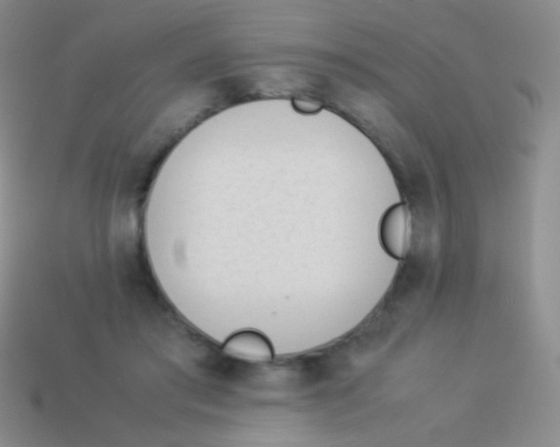 X0000114230405200910231508