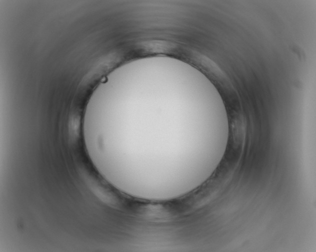 X0000114230406200910231508