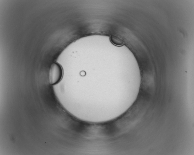 X0000114230413200910231508
