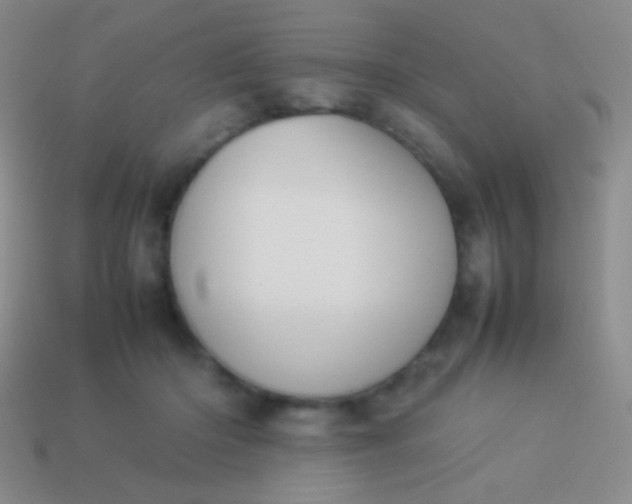 X0000114230414200910231508