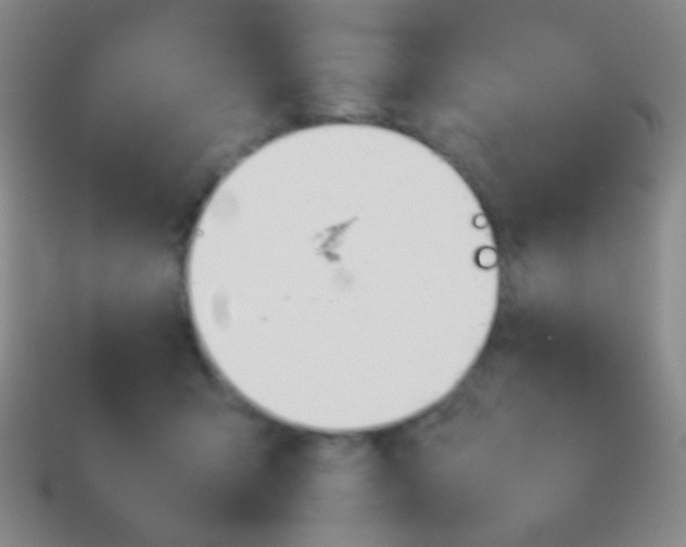 X0000114230415200910231508