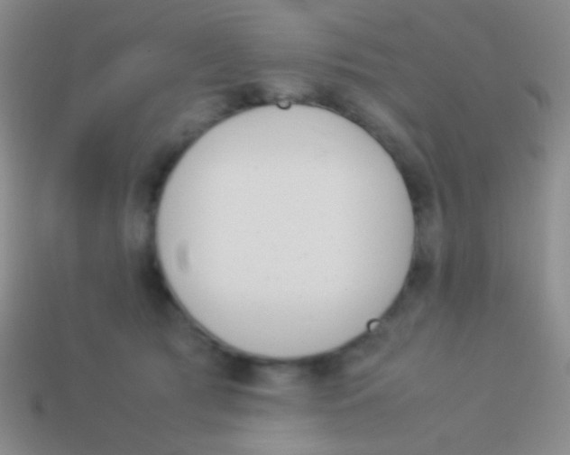 X0000114230417200910231507