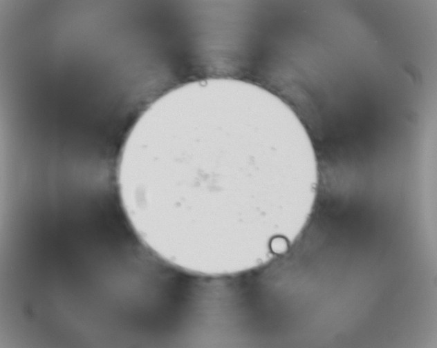 X0000114230419200910231507