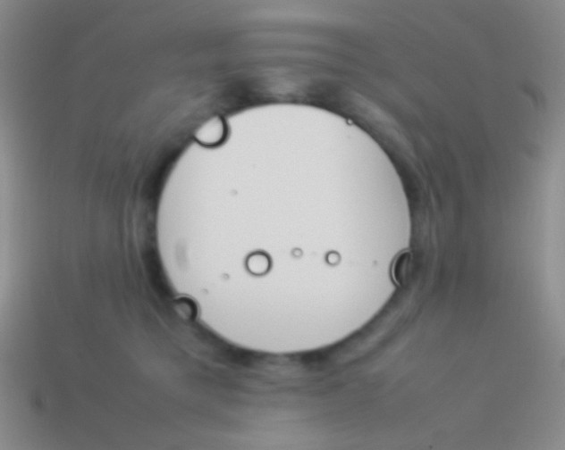 X0000114230421200910231507