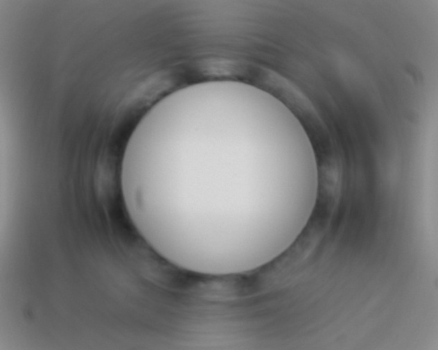 X0000114230422200910231507