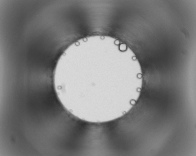 X0000114230423200910231507