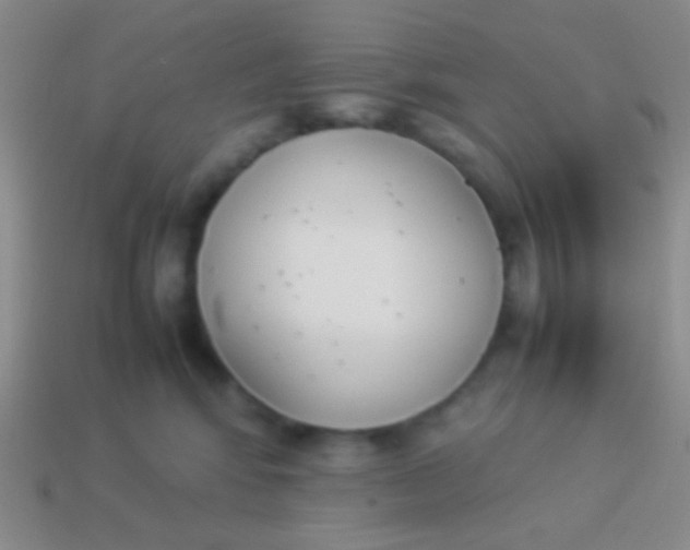 X0000114230424200910231507