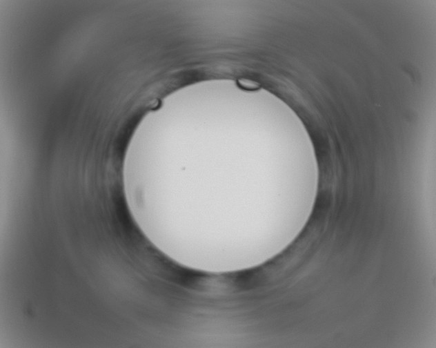 X0000114230425200910231507
