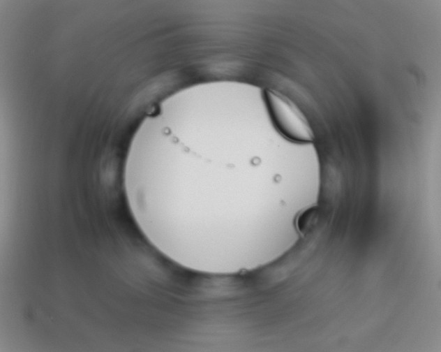 X0000114230428200910231507