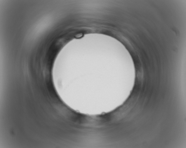 X0000114230429200910231507