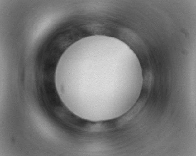 X0000114230430200910231507