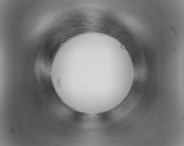 X0000114230431200910231507