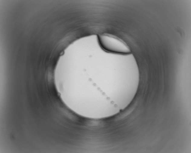 X0000114230432200910231507