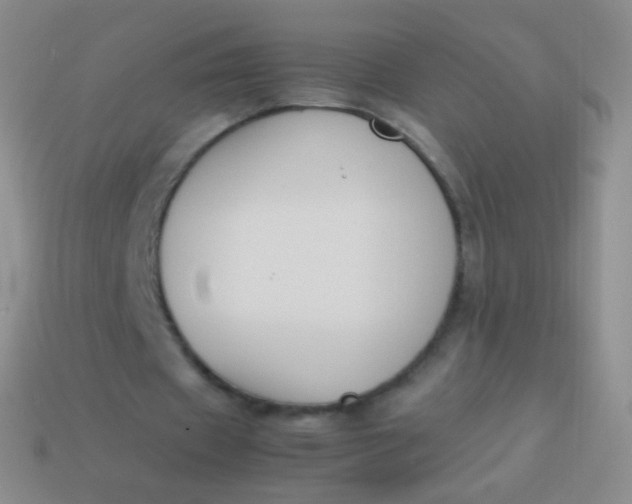 X0000114230433200910231507