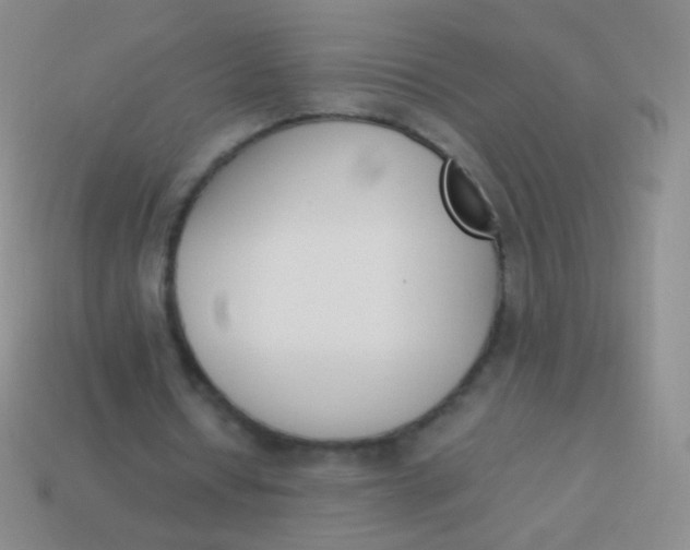 X0000114230434200910231507