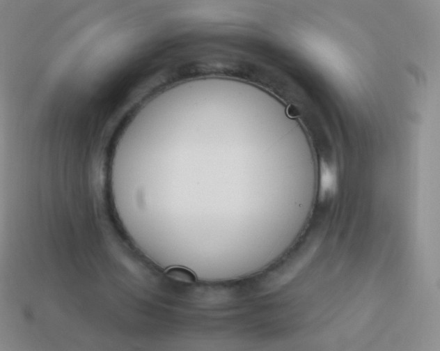 X0000114230435200910231507