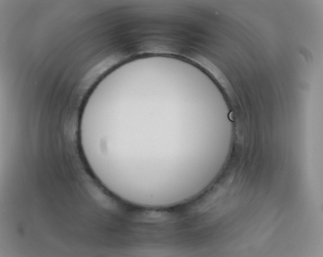 X0000114230437200910231507