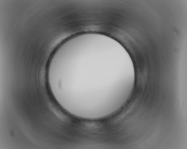 X0000114230439200910231507