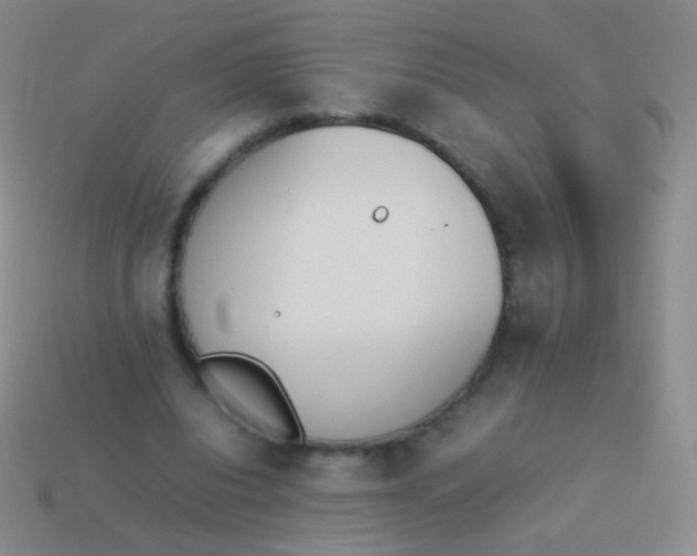 X0000114230440200910231507