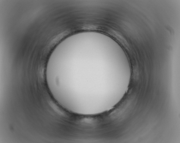 X0000114230441200910231507