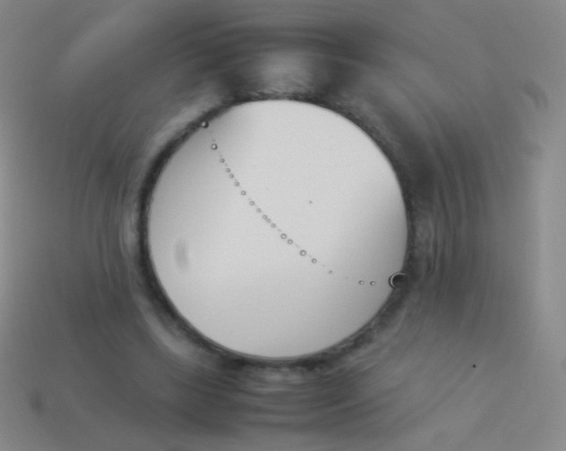 X0000114230443200910231507