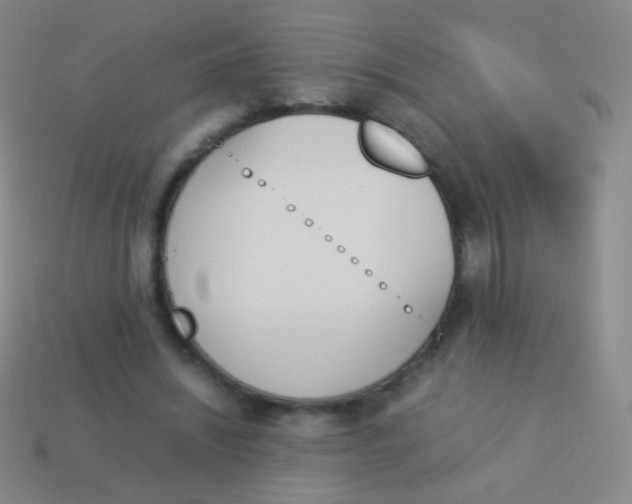 X0000114230444200910231507