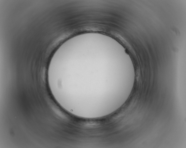 X0000114230445200910231507
