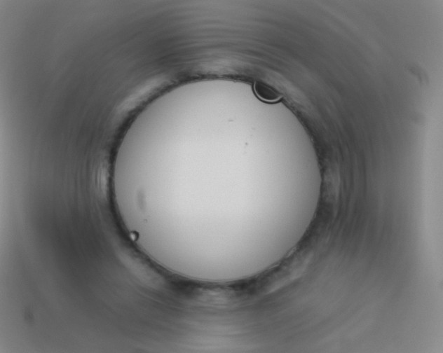 X0000114230446200910231507