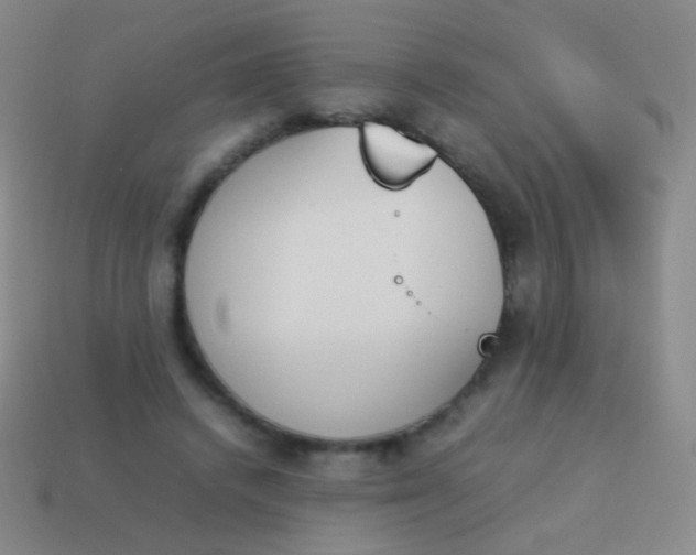 X0000114230448200910231507