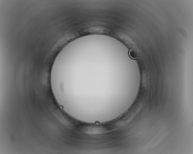 X0000114230449200910231507