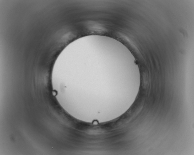 X0000114230451200910231507