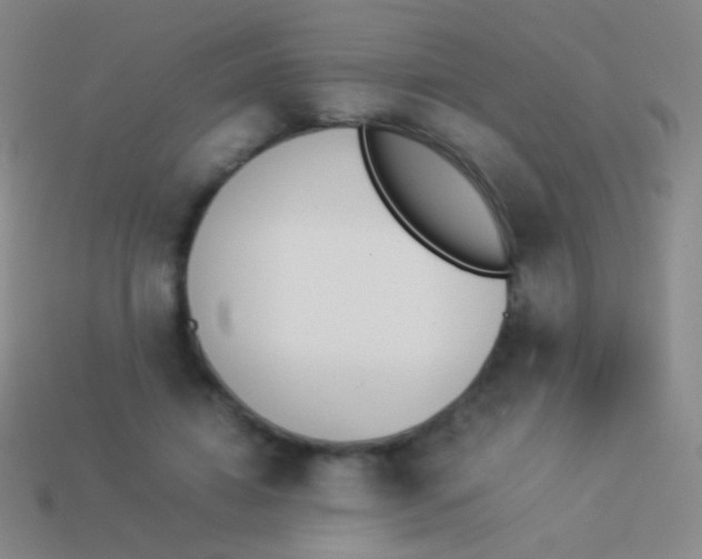 X0000114230452200910231507