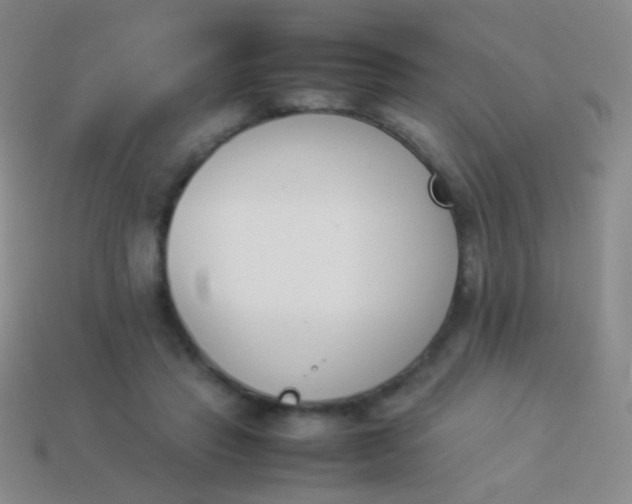 X0000114230453200910231507
