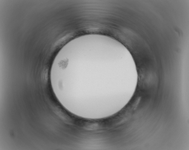 X0000114230454200910231507